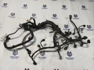 24011JD02B Проводка моторная (коса) Nissan Qashqai+2 Арт 2-817109, вид 1