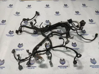24011JD02B Проводка моторная (коса) Nissan Qashqai+2 Арт 2-817109, вид 2