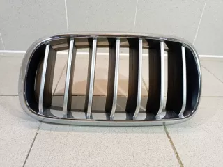 51137349388 Решетка радиатора левая BMW X6 F16 Арт 2-820765, вид 1