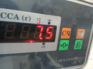 1306203 Амортизатор задний Ford Mondeo 3 Арт 2-822100, вид 8