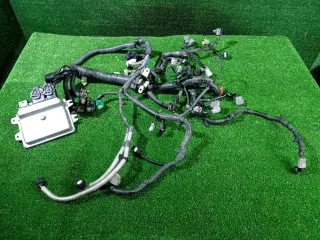24011JG00A Проводка двигателя Nissan X-Trail T31 Арт 2-836717, вид 1