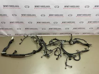 240111CA1A Проводка двигателя Infiniti FX2 Арт 2-851112, вид 1