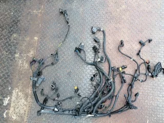 12518583684 Жгут проводов двигатель/модуль двигателя BMW 7 G11/G12 Арт 2-883761, вид 1