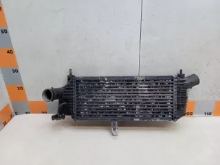14461EB360 Интеркулер Nissan Pathfinder 3 Арт 2-888455, вид 1
