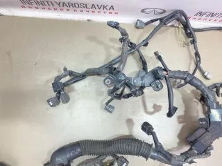 240111BP0B Проводка двигателя Infiniti EX Арт 2-895243, вид 13