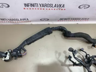 240111BP0B Проводка двигателя Infiniti EX Арт 2-895243, вид 19