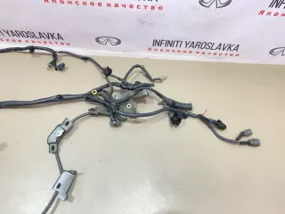 240111BP0B Проводка двигателя Infiniti EX Арт 2-895243, вид 9