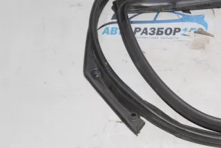 808301AA0A Дверной уплотнитель Nissan Murano Z51 Арт 2-915360, вид 6