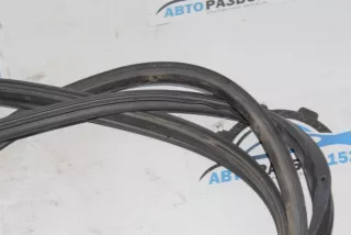 808301AA0A Дверной уплотнитель Nissan Murano Z51 Арт 2-915360, вид 10