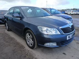1z0943021b Подсветка номера Skoda Octavia A5 Арт 2-923091, вид 12