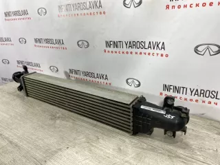 144615NA0A Радиатор интеркулер Infiniti J Арт 2-951010, вид 3