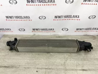 144615NA0A Радиатор интеркулер Infiniti J Арт 2-951010, вид 5