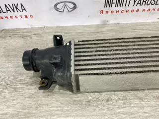 144615NA0A Радиатор интеркулер Infiniti J Арт 2-951010, вид 7