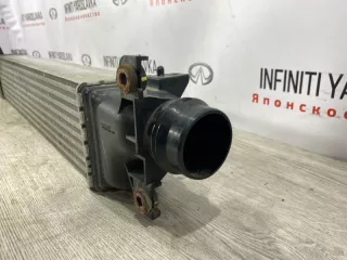 144615NA0A Радиатор интеркулер Infiniti J Арт 2-951010, вид 9
