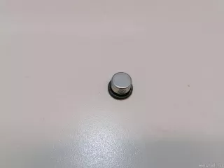3137731X06 Пробка маслосливная КПП Infiniti QX50 2 Арт E23595581