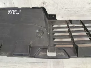 9808490680 Передняя панель крепления облицовки (телевизор) Peugeot Expert 3 Арт e12777973, вид 3