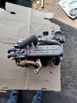 038131513AD 1,9TDI 255457 Радиатор EGR Volkswagen Golf 5 Арт e12777027, вид 1