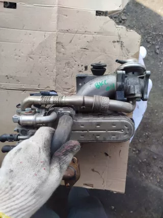 038131513AD 1,9TDI 255457 Радиатор EGR Volkswagen Golf 5 Арт e12777027, вид 2