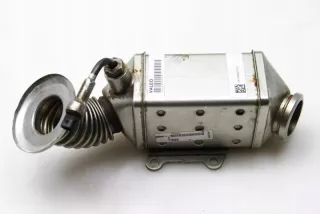 55268286 Радиатор EGR Fiat Tipo 2 Арт e12776731, вид 1