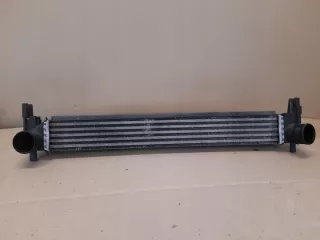 6R0145805 Интеркулер Skoda Fabia 2 Арт e12770217, вид 1