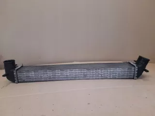 6R0145805 Интеркулер Skoda Fabia 2 Арт e12770217, вид 2