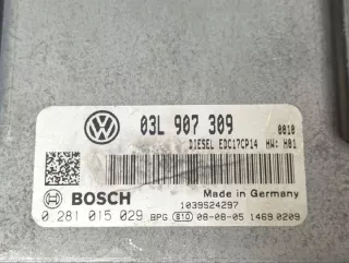 03L907309M Блок управления двигателем Volkswagen Passat B6 Арт e12766988, вид 9