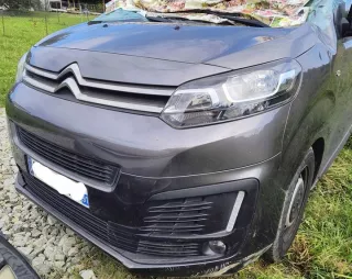 9808414080 9840159380 9808388480 Дверь передняя правая Citroen jumpy 3 Арт e12763391, вид 10