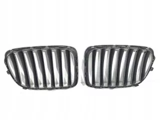 2993308 LORK-2114-57551 Решетка радиатора BMW X1 E84 Арт e12761283, вид 2