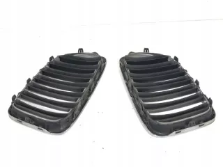 2993308 LORK-2114-57551 Решетка радиатора BMW X1 E84 Арт e12761283, вид 3