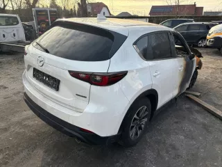  Крышка багажника (дверь 3-5) Mazda 5 1 Арт e12739291, вид 3