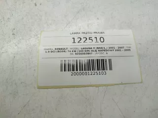 8200002847 Фара правая Renault Laguna 2 Арт e12736575, вид 11