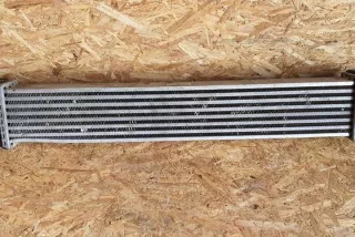 A1695000000 Интеркулер Mercedes B W245 Арт e12734651, вид 1