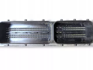 A6461506372 Блок управления двигателем Mercedes Sprinter W906 Арт e12728914, вид 4