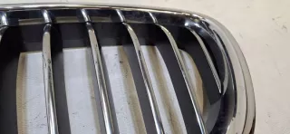 7336477 7336578 Решетка радиатора BMW 5 F10/F11/GT F07 Арт e12726010, вид 4