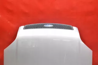 254559 Капот Ford Fusion 1 Арт e12724157, вид 2