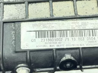 2318601002 Подушка безопасности Mercedes SL r231 Арт e12719562, вид 5