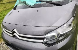 9811895180 9811894980 Дверь задняя левая Citroen jumpy 3 Арт e12705313, вид 9