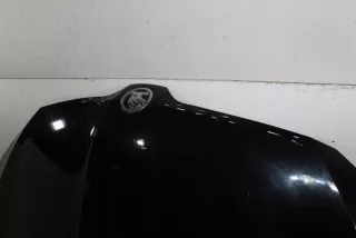 3V0823155 Капот Skoda Superb 3 Арт e12691828, вид 3