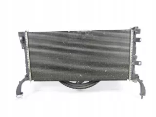 M9R740 214810039R 214000003R Радиатор (основной) Renault Laguna 3 Арт e12594345, вид 1