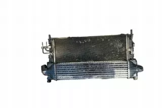 1137328148 Радиатор (основной) Ford C-max 2 Арт e12529316, вид 3
