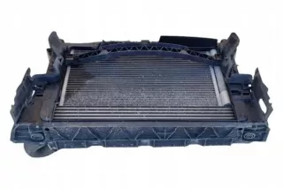 701010690B Радиатор (основной) Volkswagen Polo 5 Арт e12276543, вид 7
