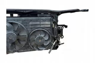 3AA121253 Радиатор (основной) Volkswagen Passat B7 Арт e12217623, вид 5