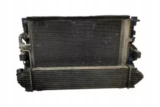 6G919L440FD Радиатор (основной) Ford Galaxy 3 Арт e12132267, вид 2