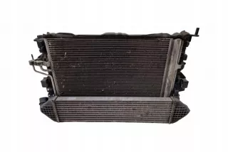 DXACB7, 1137328567 Радиатор (основной) Ford C-max 2 Арт e12132199, вид 1