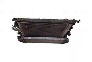 DXACB7, 1137328567 Радиатор (основной) Ford C-max 2 Арт e12132199, вид 2