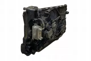6G917A095AD Радиатор (основной) Ford C-max 2 Арт e12132197, вид 1