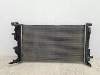 214105378R Радиатор (основной) Renault Megane 3 Арт e11962287, вид 5