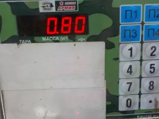 7401079192 Стойка заднего стабилизатора Renault Kerax Арт E36274346, вид 5