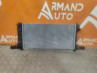 2069031600, 8890389738, 3 Радиатор двигателя (ДВС) Geely Monjaro Арт 311755PM, вид 6