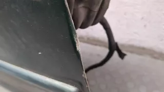 3B0837207GGRU,3B0837886D Ручка наружная передняя правая зеленая Volkswagen Golf 4 Арт 11162656, вид 2